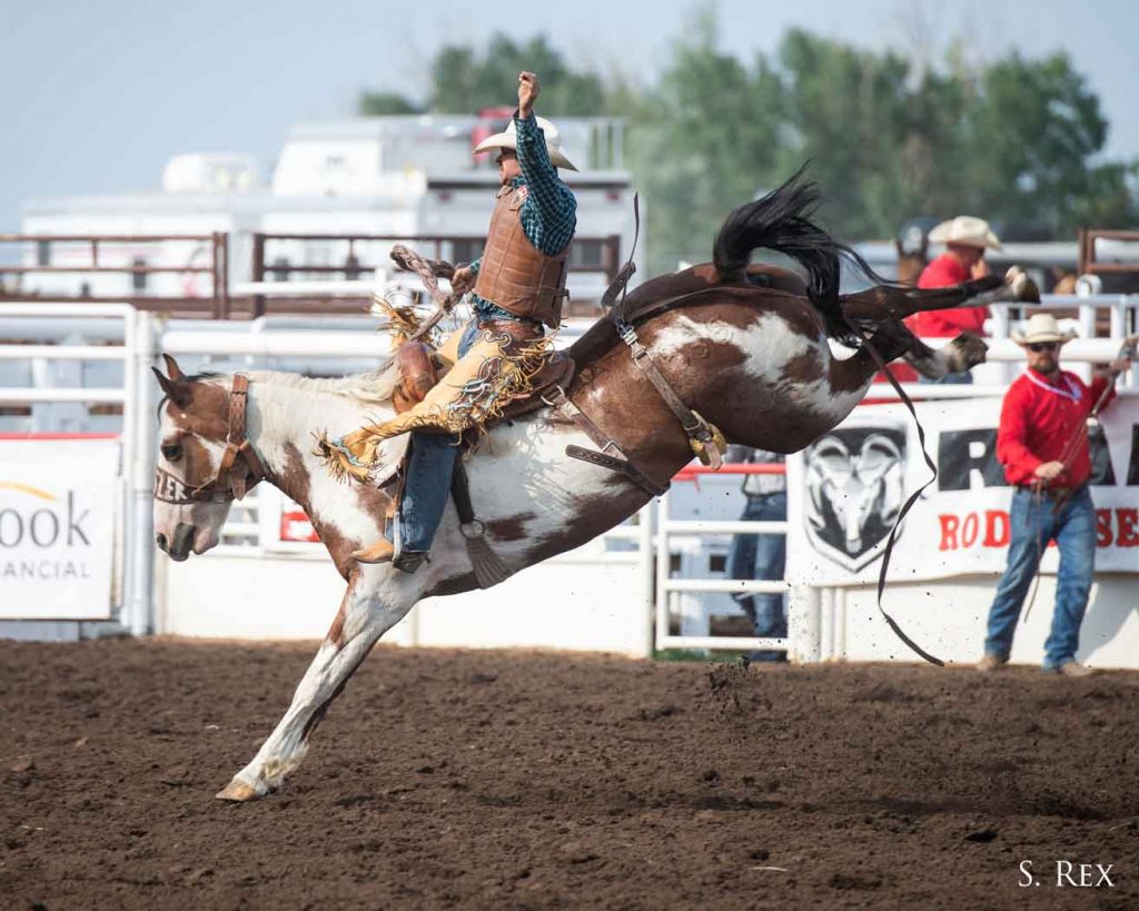 Summer Pro Rodeo – MH Stampede & Exhibition